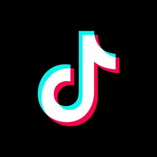 tiktok(사진=PIXABAY)