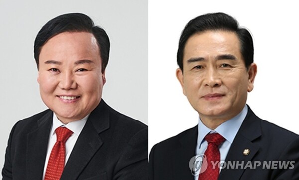 김재원 국민의힘 최고위원(왼쪽)과 태영호 의원. (사진=연합뉴스)