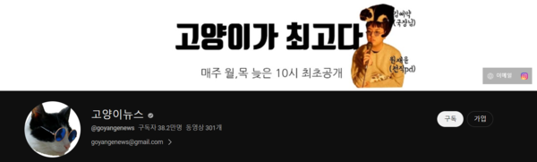 유튜브 채널 '고양이뉴스' 갈무리