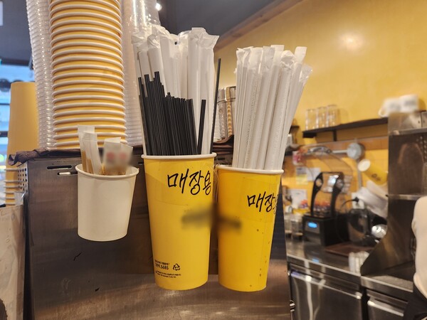 송파구 한 카페에 비치된 매장용 종이빨대(사진=연합뉴스)