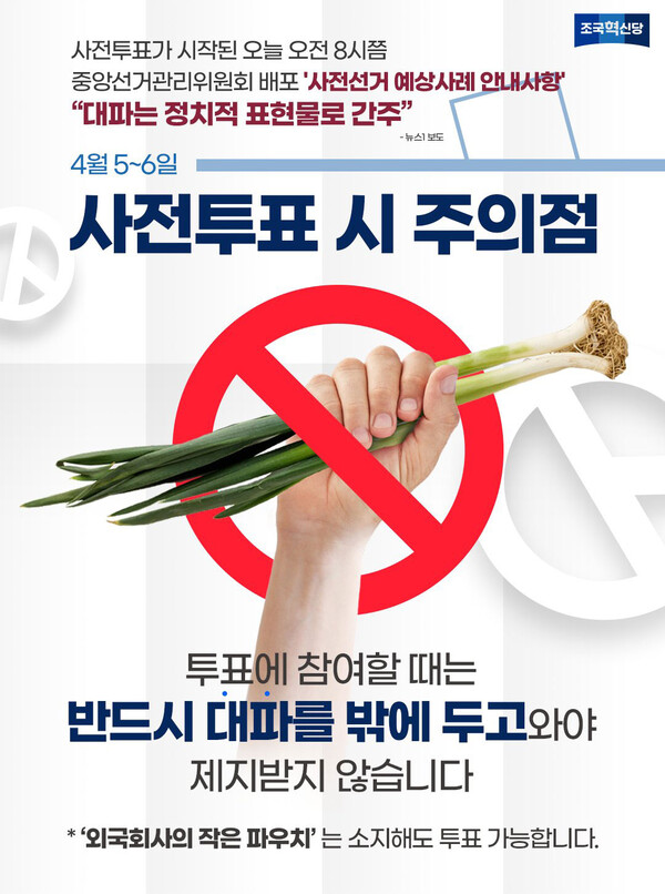 (이미지 출처=조국혁신당 공식 SNS)