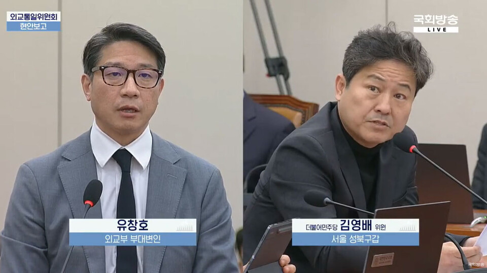 16일 열린 국회 외교통일위원회 전체회의에서 더불어민주당 김영배 의원이 외교부 유창호 부대변인에게 질의하고 있다 (국회방송 유튜브)