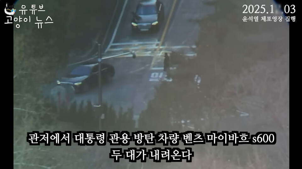 유튜브 채널 '고양이뉴스' 영상 갈무리