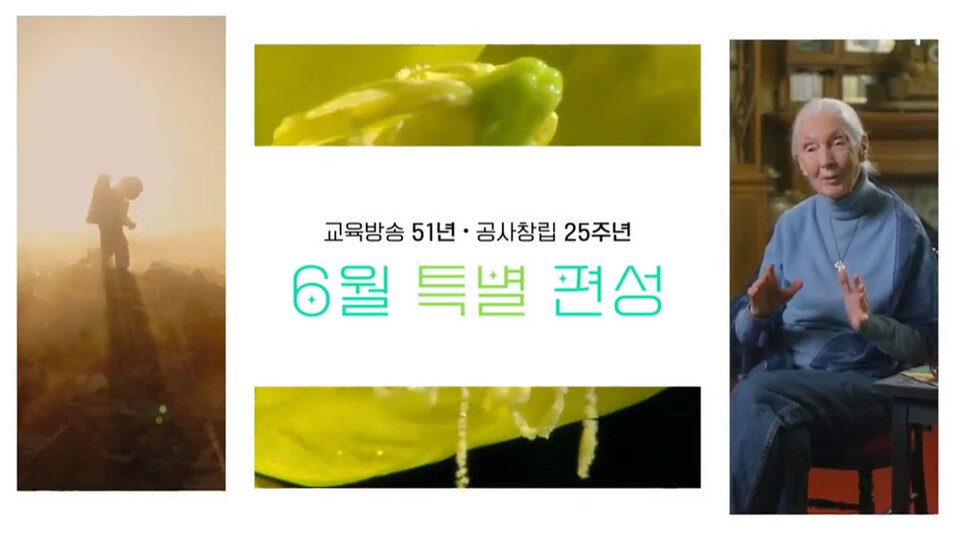 [EBS 창사 51주년, 공사 창립 25주년 특별편성] 안내 영상 갈무리