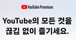 서울YMCA "유튜브 프리미엄 라이트 있으나 마나"